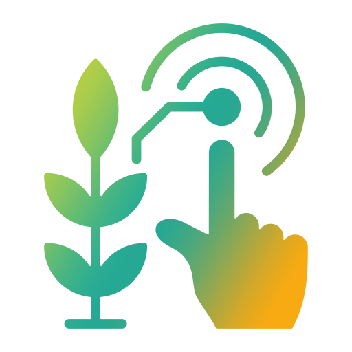 Training & Capacity Building